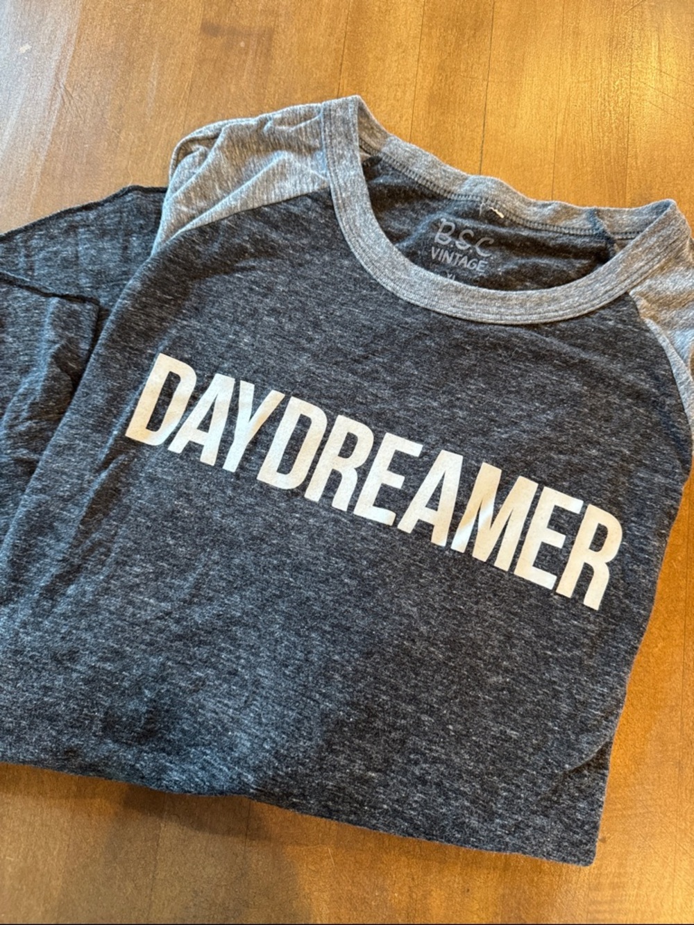 Daydreamer Men's Gray Raglan Shirt